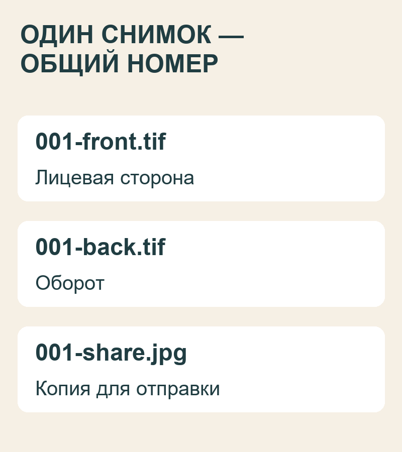 Пример имён файлов для лица, оборота и копии фотографии